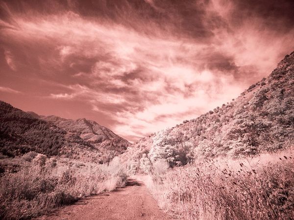 Eggers, Terry 아티스트의 USA-Utah-Infrared of backroad in the Logan Pass area작품입니다.